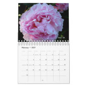 Peony Blume Kalender (Feb 2027)