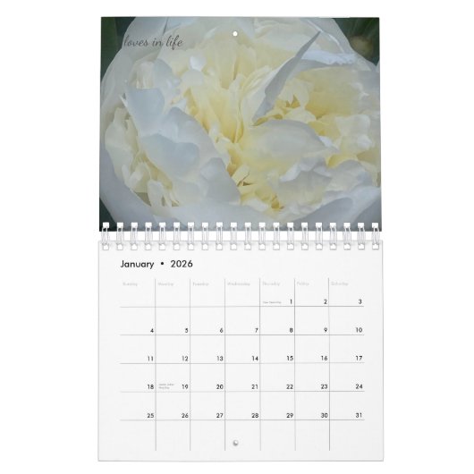 Peony Blume Kalender (Jan 2026)