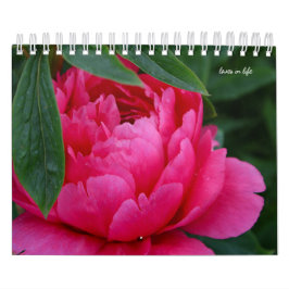 Peony Blume Kalender