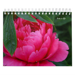 Peony Blume Kalender