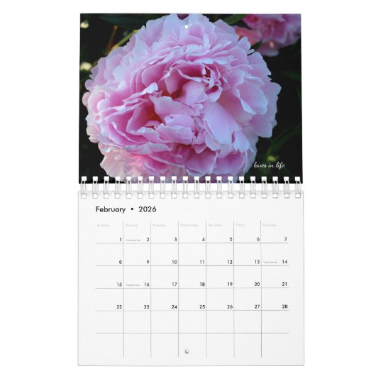 Peony Blume Kalender (Feb 2026)