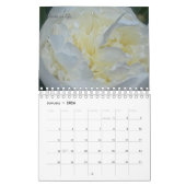Peony Blume Kalender (Jan 2026)