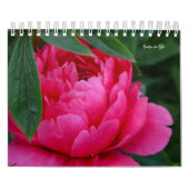 Peony Blume Kalender (Titelbild)