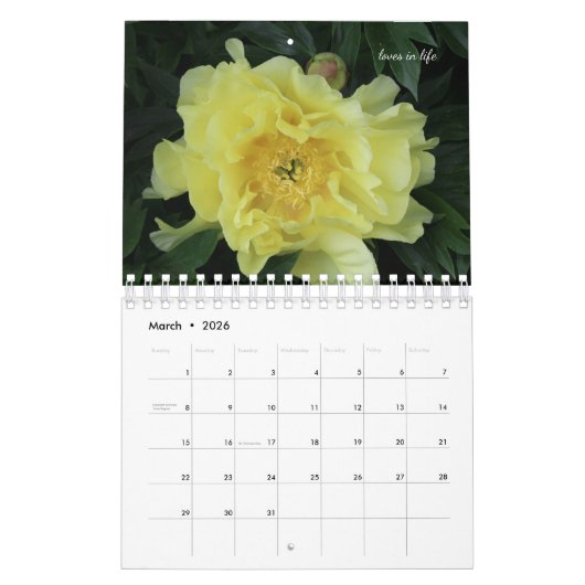 Peony Blume Kalender (Mär 2026)