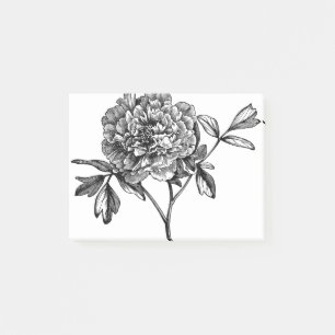 Peony Blume Line Art Pflanze Post-it Klebezettel