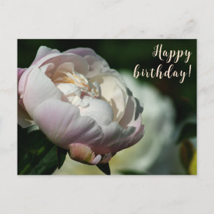 Peony/Blume Magic/White Blume/Happy Birthday/ Feiertagspostkarte