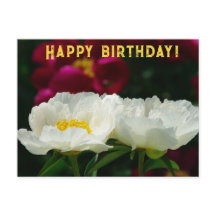 Peony/Blume Magic/White Blume/Happy Birthday/