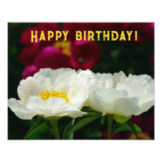 Peony/Blume Magic/White Blume/Happy Birthday/ Fotodruck