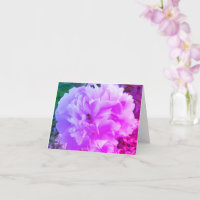 Peony-Blume mit einer Honey-Biene