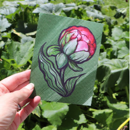 Peony Blume Peonies Gardener Art Pink Postkarte