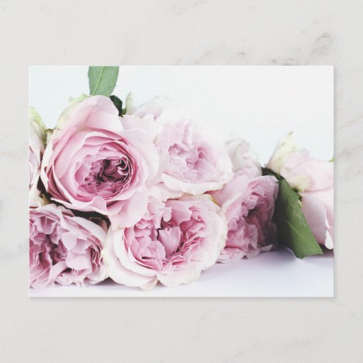 PEONY BLUME POSTCARD POSTKARTE (Vorderseite)