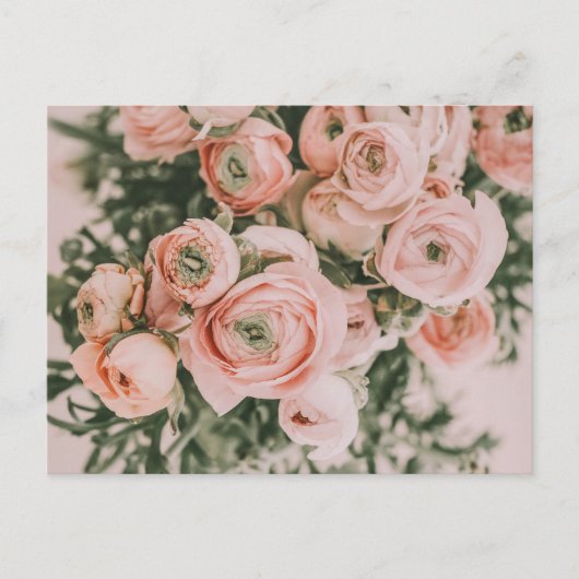 PEONY BLUME POSTCARD POSTKARTE (Vorderseite)