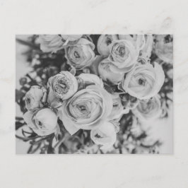 PEONY BLUME POSTCARD POSTKARTE