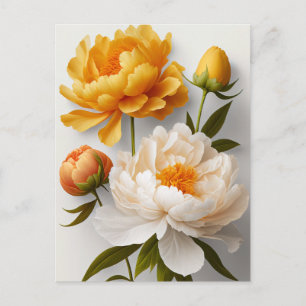Peony Blume Postcard Postkarte