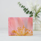 Peony Blume Postkarte (Stehend Vorderseite)