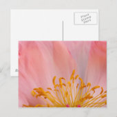 Peony Blume Postkarte (Vorne/Hinten)