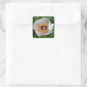 Peony Blume Stickers (Tasche)