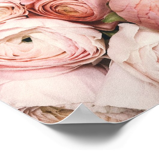 Peony, Blush Printing, Rosa Blumenfotografie, Poster (Ecke)