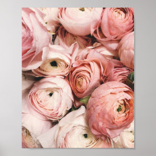 Peony, Blush Printing, Rosa Blumenfotografie, Poster