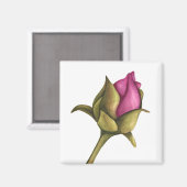 Peony Bud Magnet (Vorderseite/Rückseite)