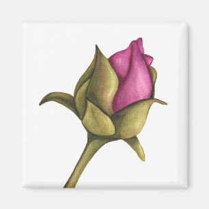 Peony Bud Magnet