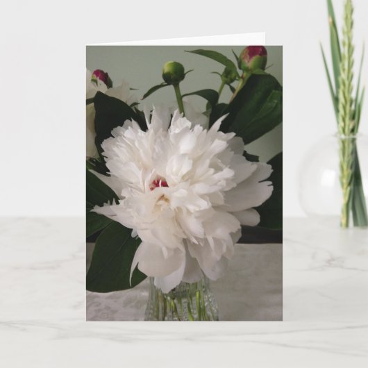 Peony, Card Karte (Vorderseite)