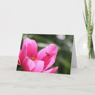 Peony "Chameleon" Karte