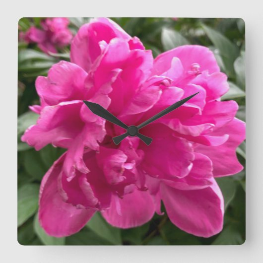 Peony Clock Quadratische Wanduhr (Vorderseite)