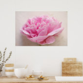 Peony Closeup Poster (Küche)