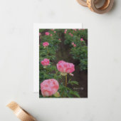 Peony Field Mitteilungskarte (Vorderseite/Rückseite Beispiel)