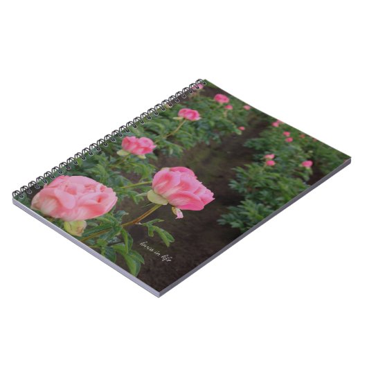 Peony Field Notizblock (Linke Seite)