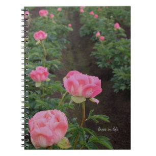 Peony Field Notizblock