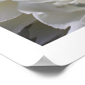 Peony Flame Print Poster (Ecke)