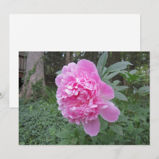 Peony Flat Holiday Card Feiertagskarte (Vorne/Hinten)