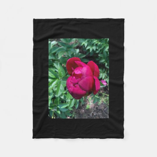 Peony Fleece Blanket (Vorderseite)