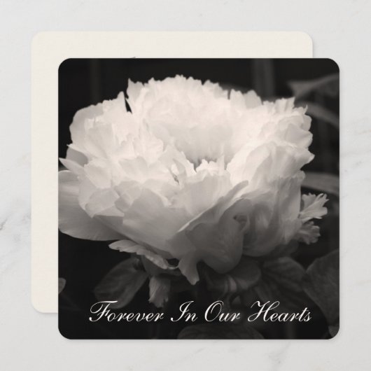 Peony Floral Fotografy 2 Beerdigung Ankündigung (Vorne/Hinten)