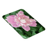 Peony Foto Magnet (Rechte Seite)