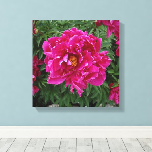 Peony Foto Print Leinwand (Insitu (Holzboden))