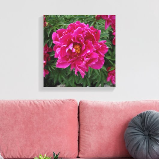 Peony Foto Print Leinwand (Insitu (Wohnzimmer))