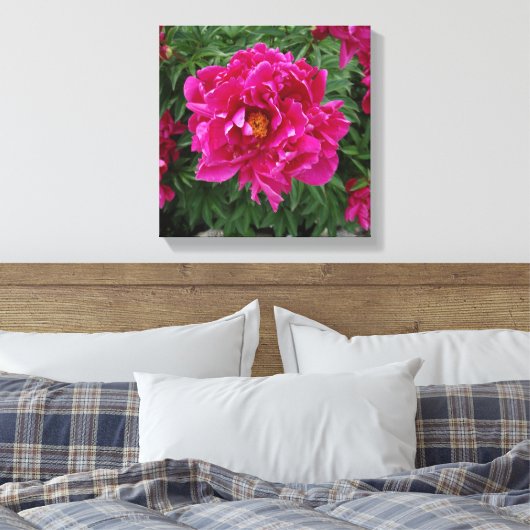 Peony Foto Print Leinwand (Insitu (Schlafzimmer))