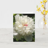 Peony Garden Karte (Gelbe Blume)