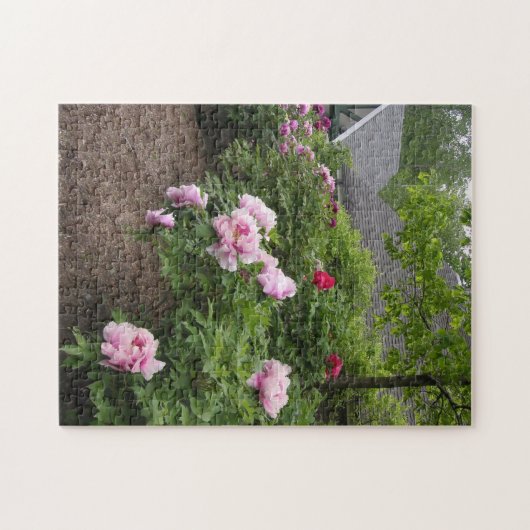 Peony Garden Puzzle (Horizontal)