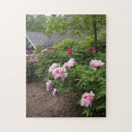Peony Garden Puzzle