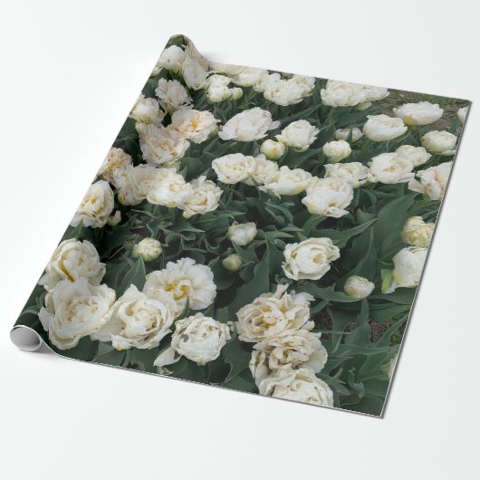 Peony Geschenkpapier (Ungerollt)