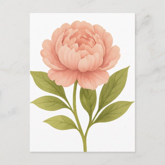 Peony — glückliches Leben, glückliche Ehe Postkarte (Vorderseite)