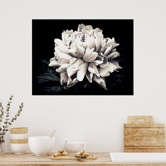 Peony in Black and White Poster (Küche)