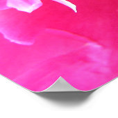 Peony in Bloom Poster (Ecke)