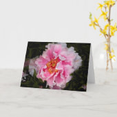 Peony in Full Karte (Gelbe Blume)