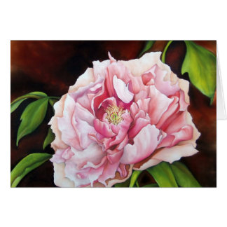 Peony In Garden