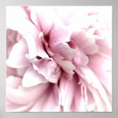 Peony in Macro mit Digital Art Pink Poster (Vorne)
